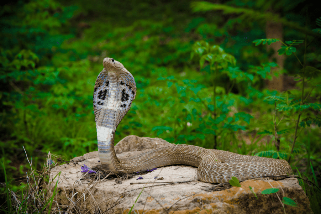 Saturday’s Creepy Bedtime Story