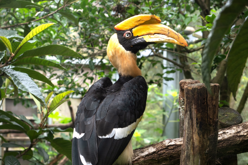 Answers to Some Questions