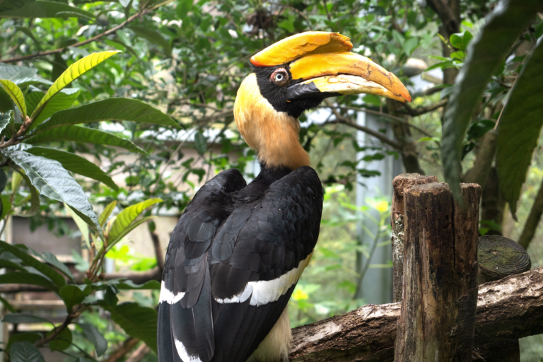 Answers to Some Questions