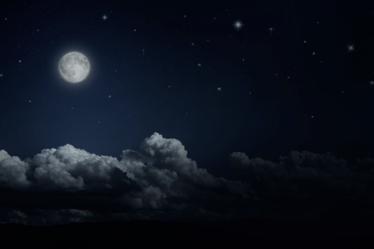 Wednesday Changed my Life (1)