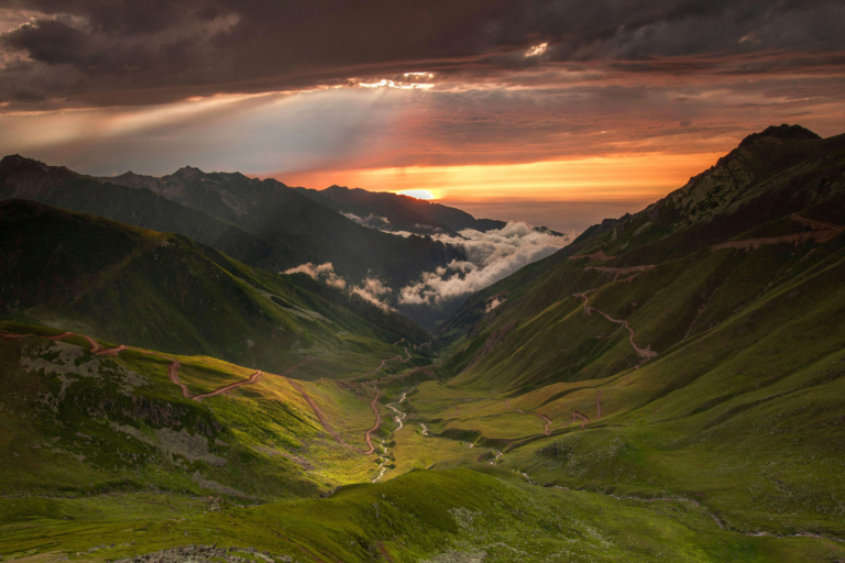 A Million Dollar Smile