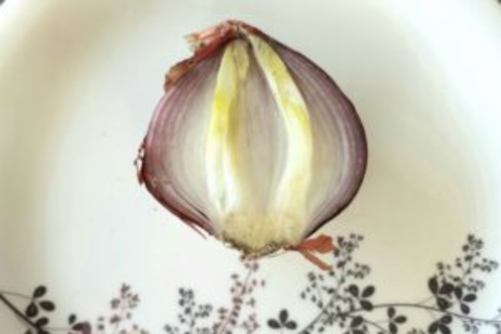 Officially Vulnerable