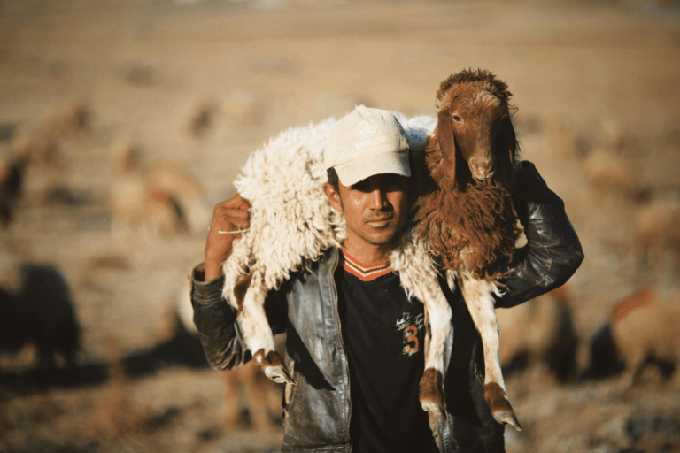 Finding the way Home