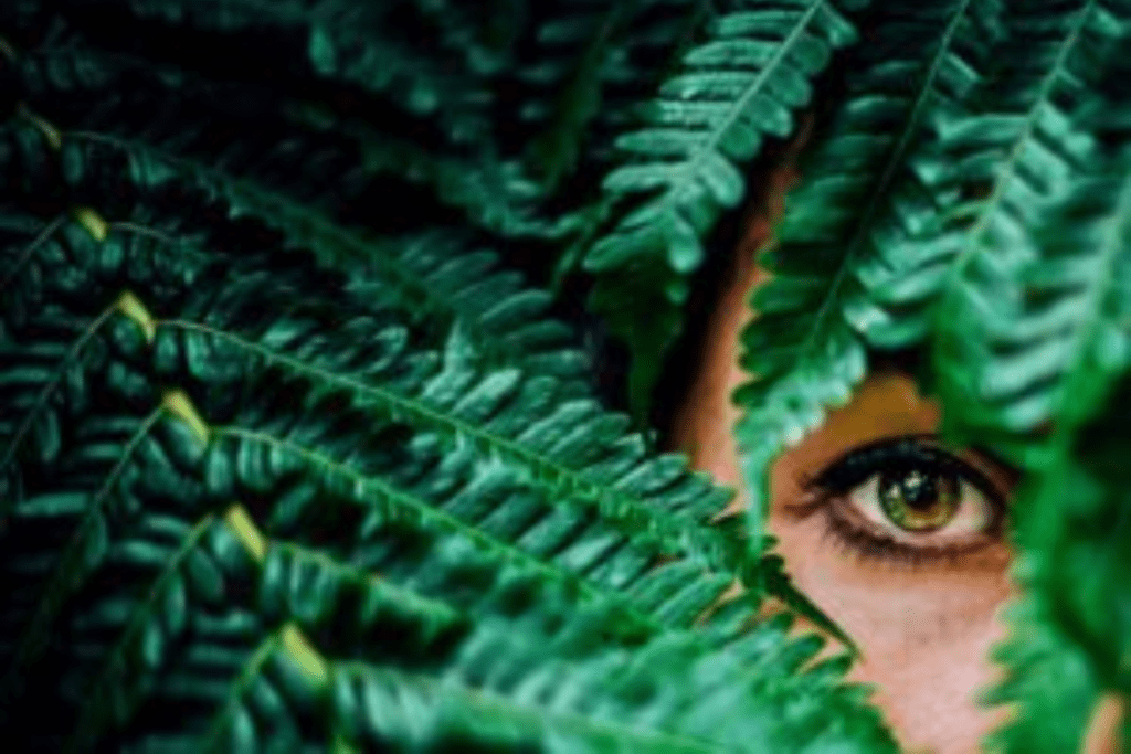 Veiled Eyes - Stories by Frieda McRae