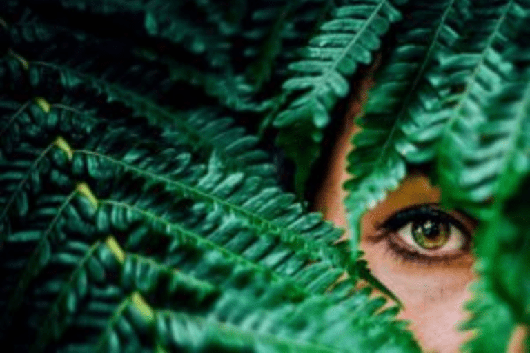 Veiled Eyes - Stories by Frieda McRae