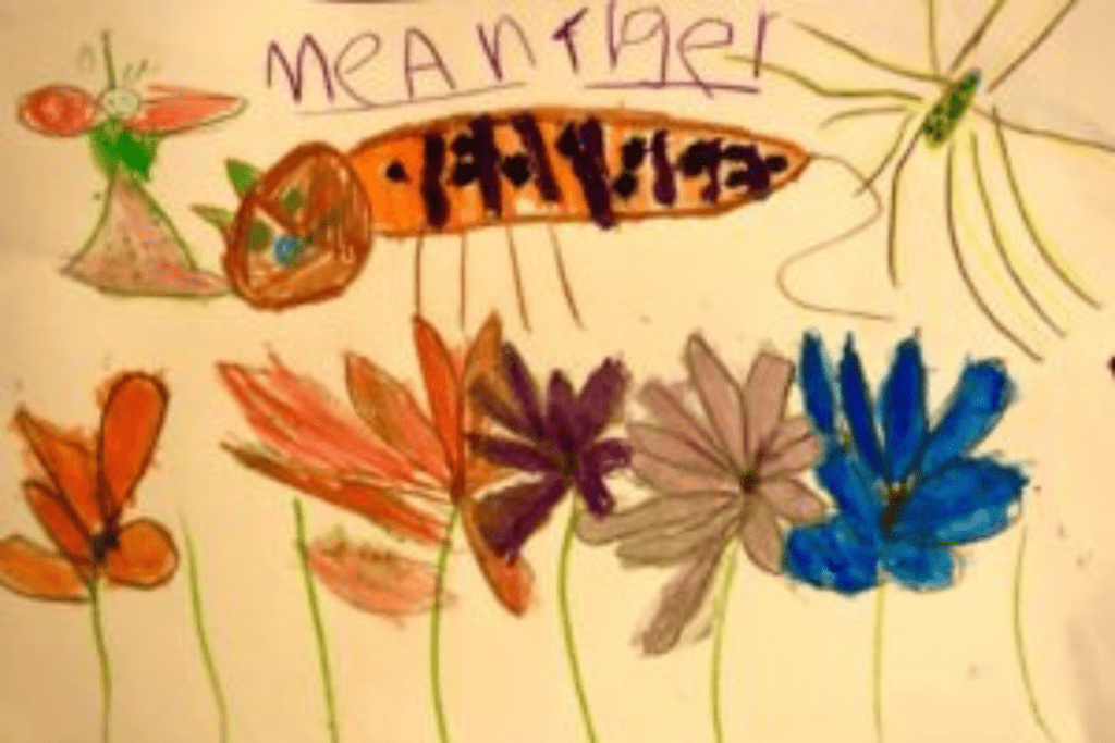 Mean Tiger Poem - Stories by Frieda McRae