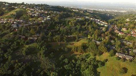 The Woman In The Tree - Stories by Frieda McRae