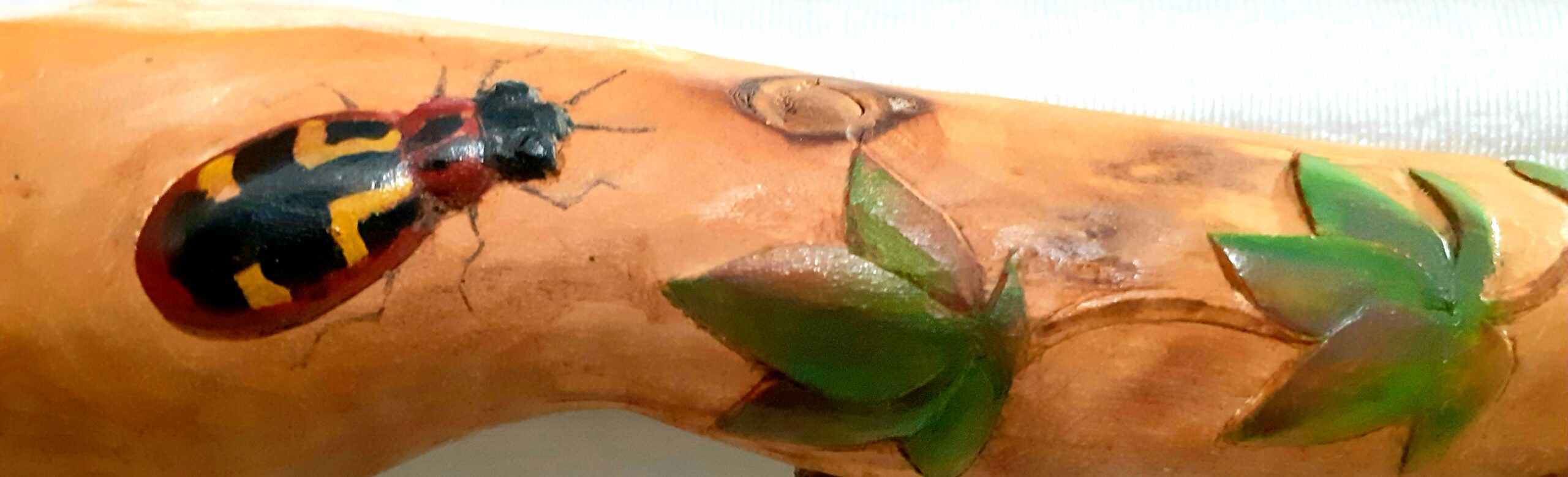 A Forest Visit - Stories by Frieda McRae