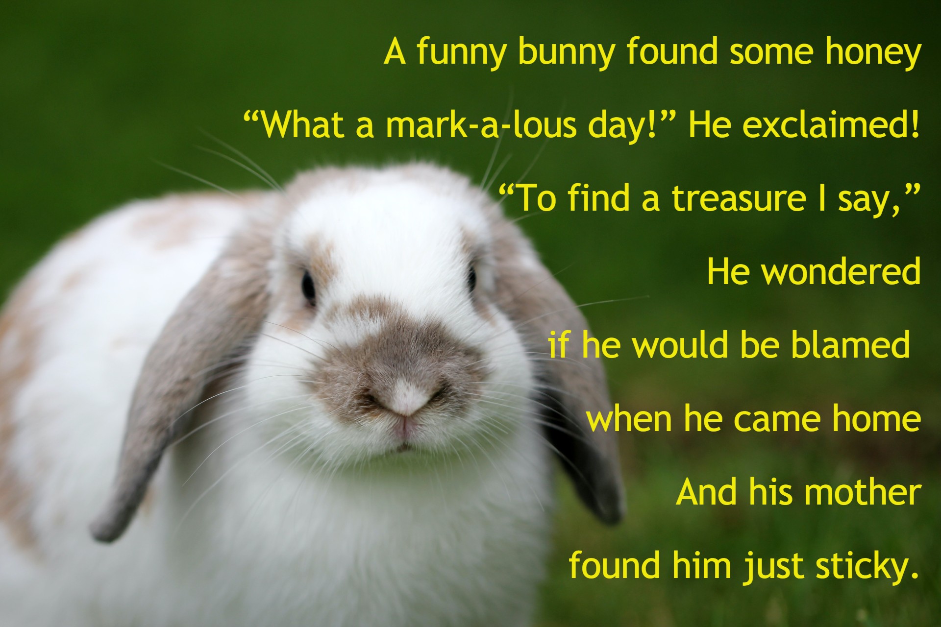 The Accidental Poem - Stories by Frieda McRae