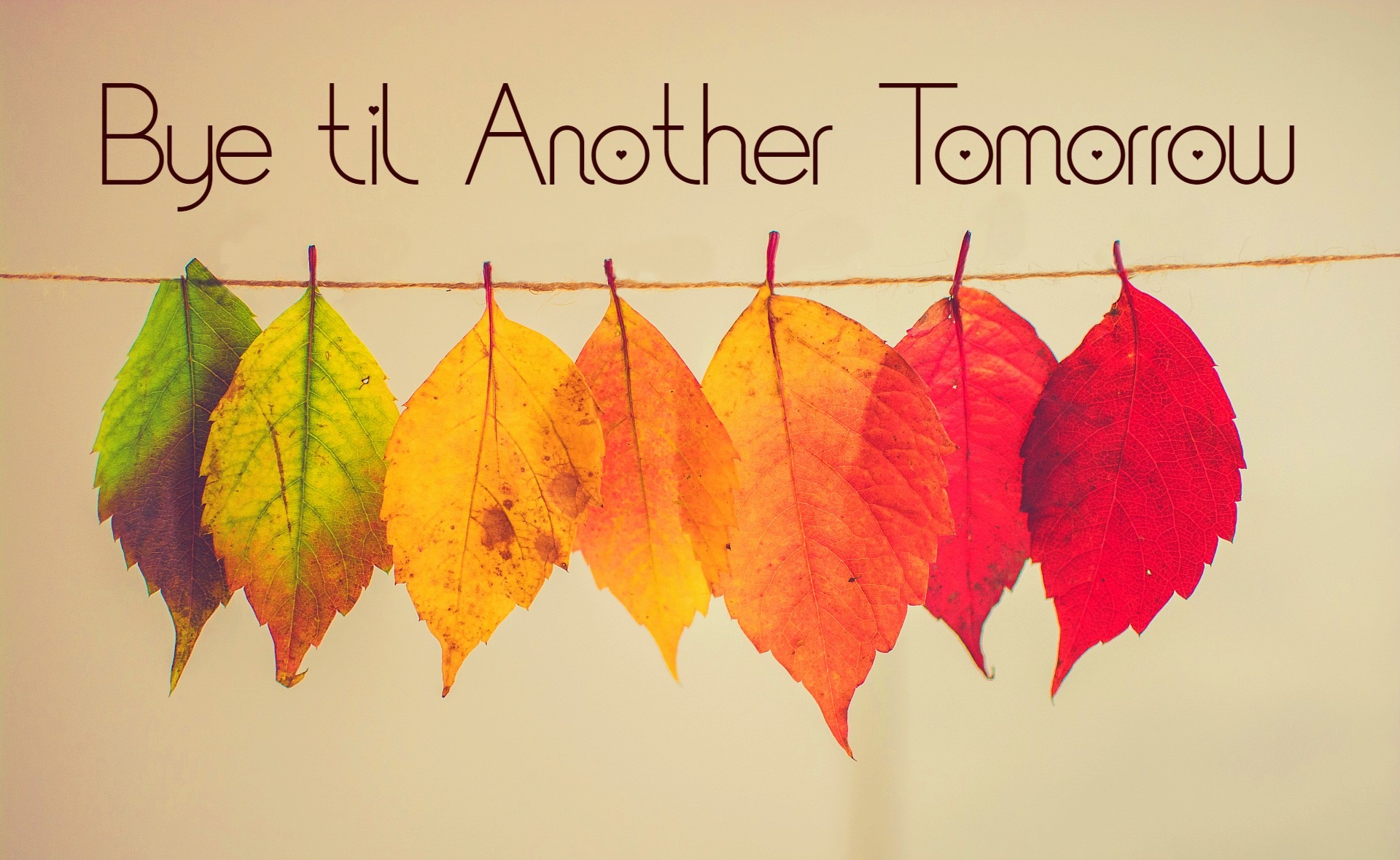 Bye Till Another Tomorrow - Stories by Frieda McRae