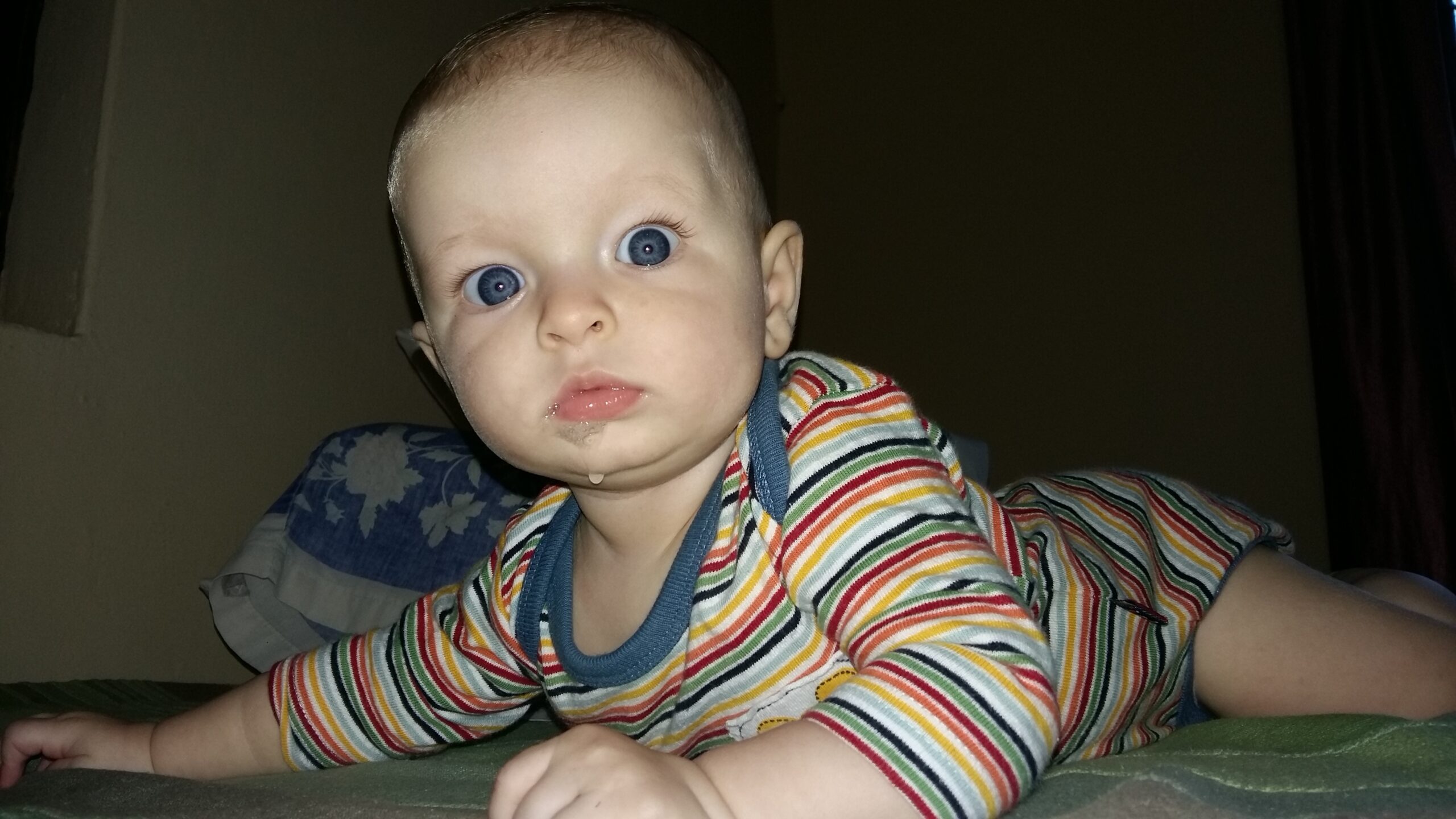 Dysfunctional Mothers Can't Rock the Boat - Stories by Frieda McRae