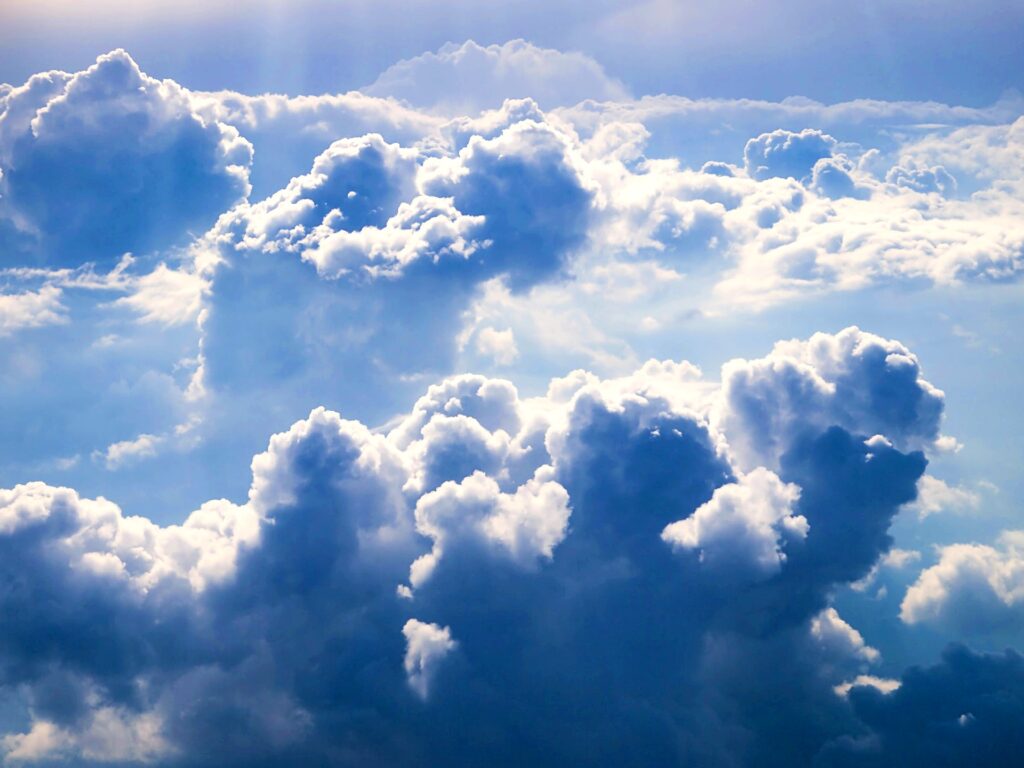 The Wisdom of Job - Stories by Frieda McRae