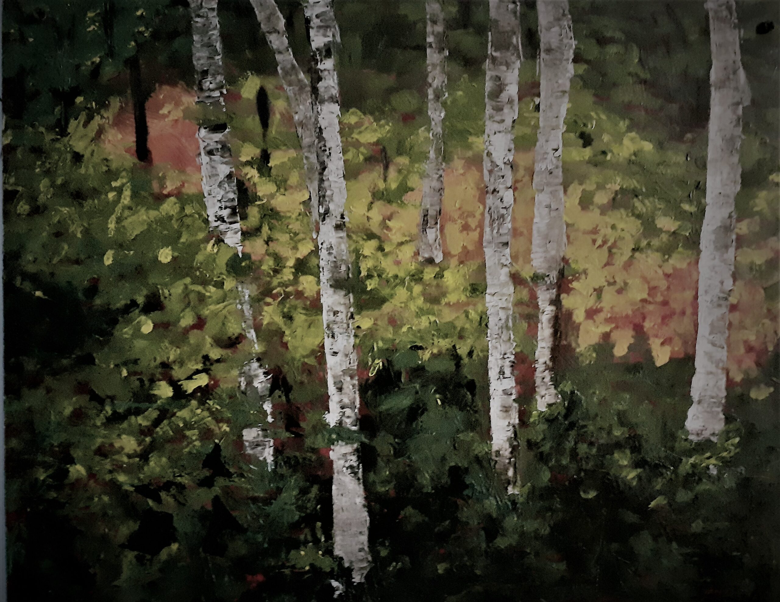 A Forest Visit - Stories by Frieda McRae