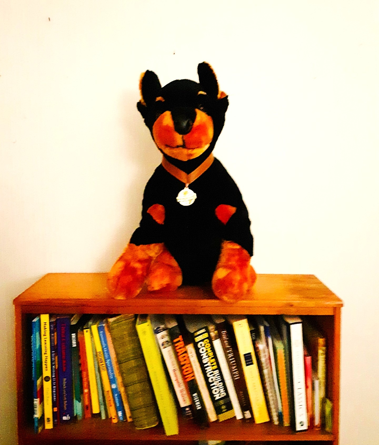 The Accidental Poem - Stories by Frieda McRae