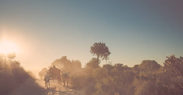 Wednesday Changed My Life - Stories by Frieda McRae