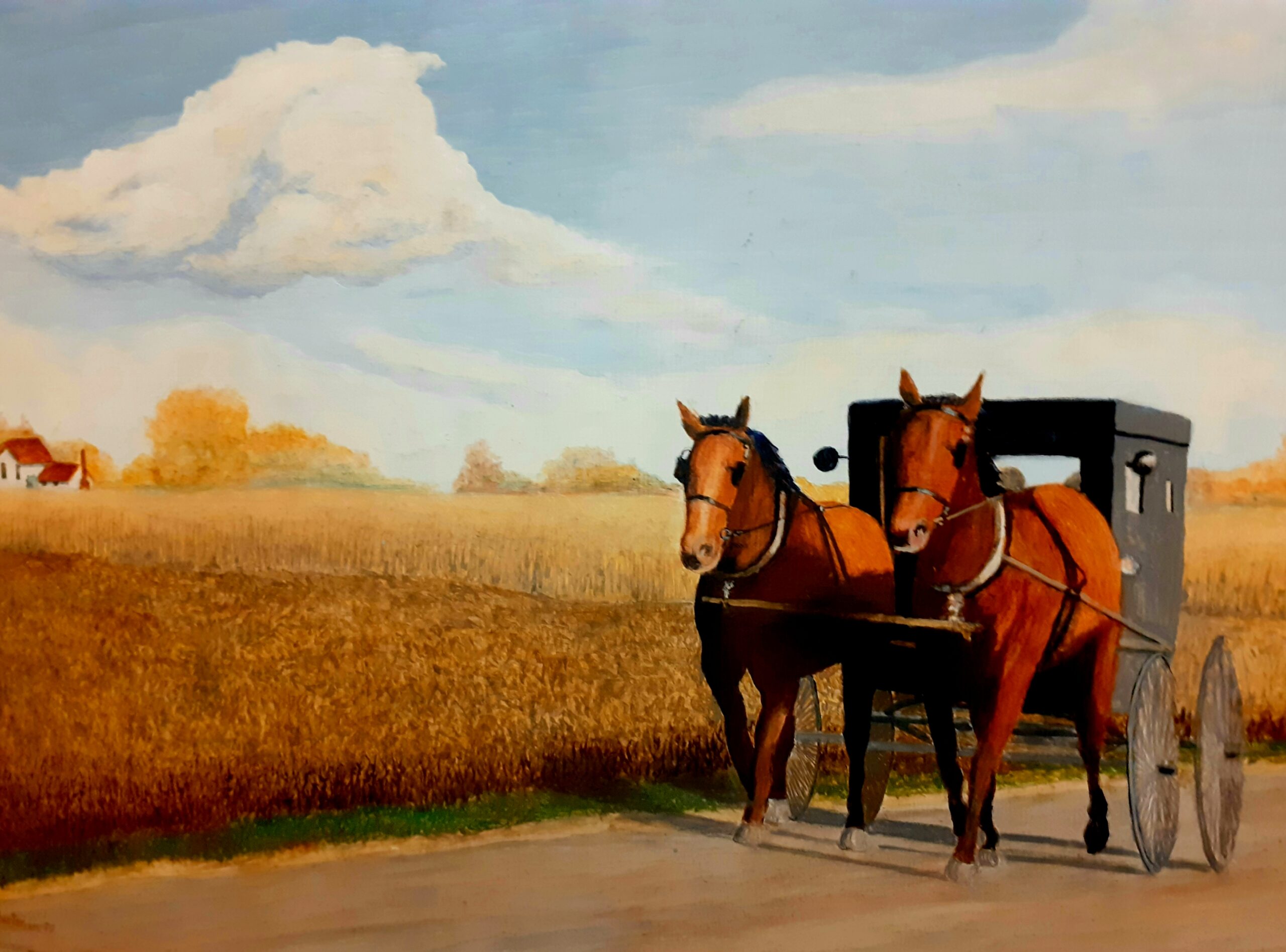 A Forest Visit - Stories by Frieda McRae