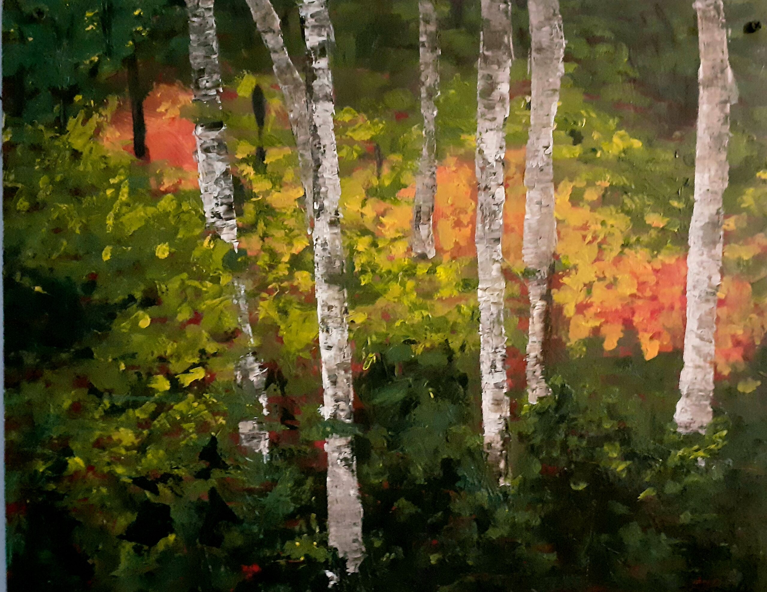 A Forest Visit - Stories by Frieda McRae