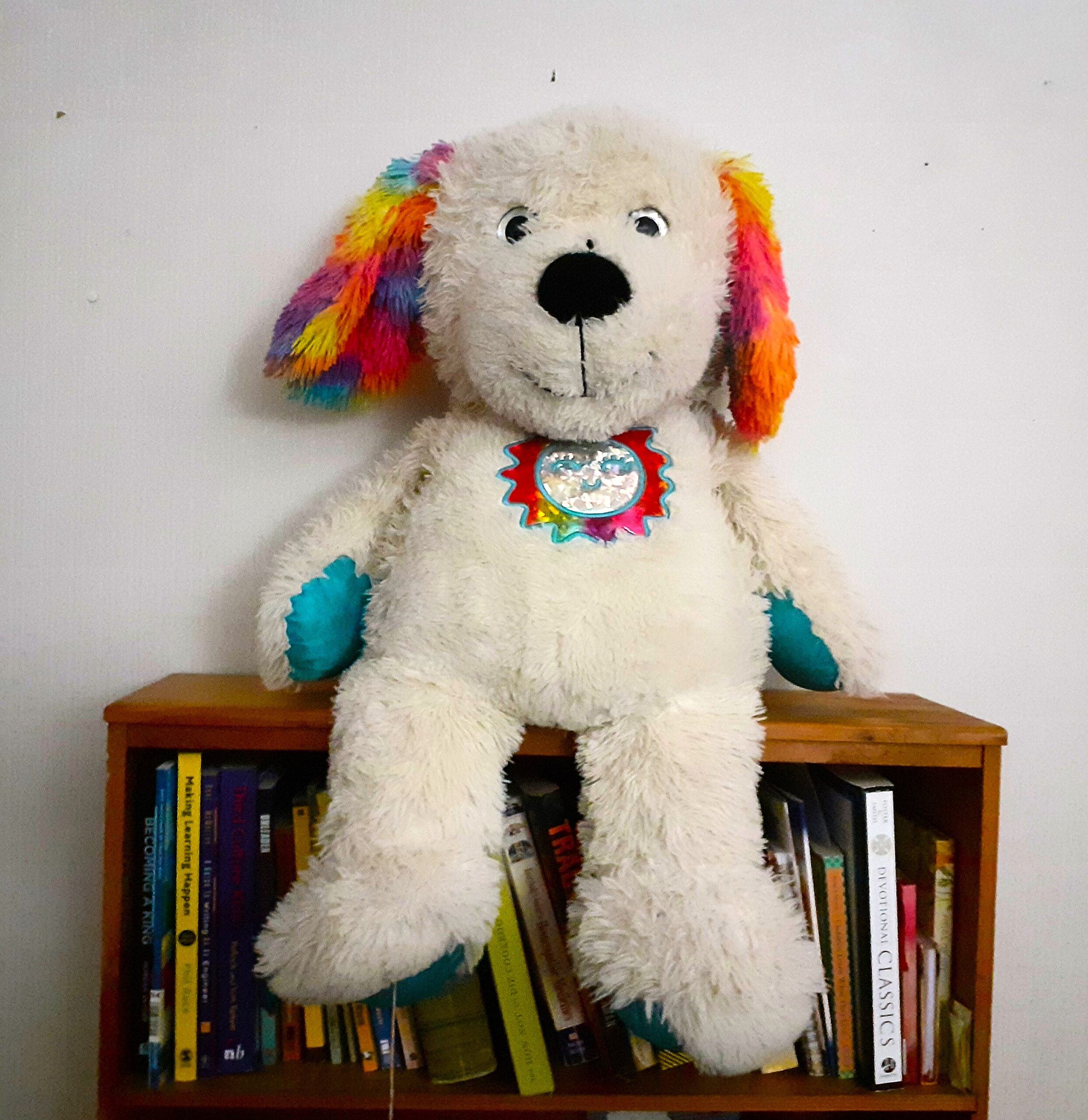 The Accidental Poem - Stories by Frieda McRae