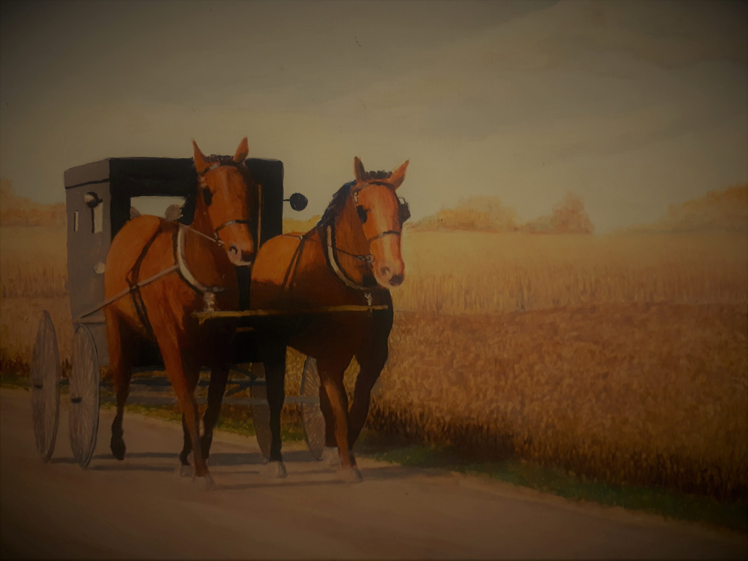 A Forest Visit - Stories by Frieda McRae