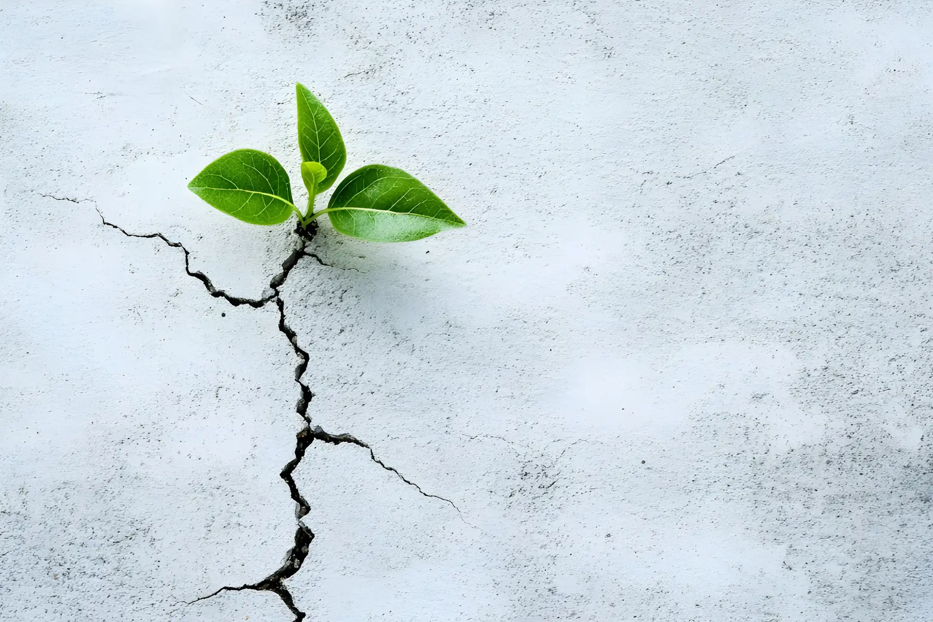 Hope & Healing Stories