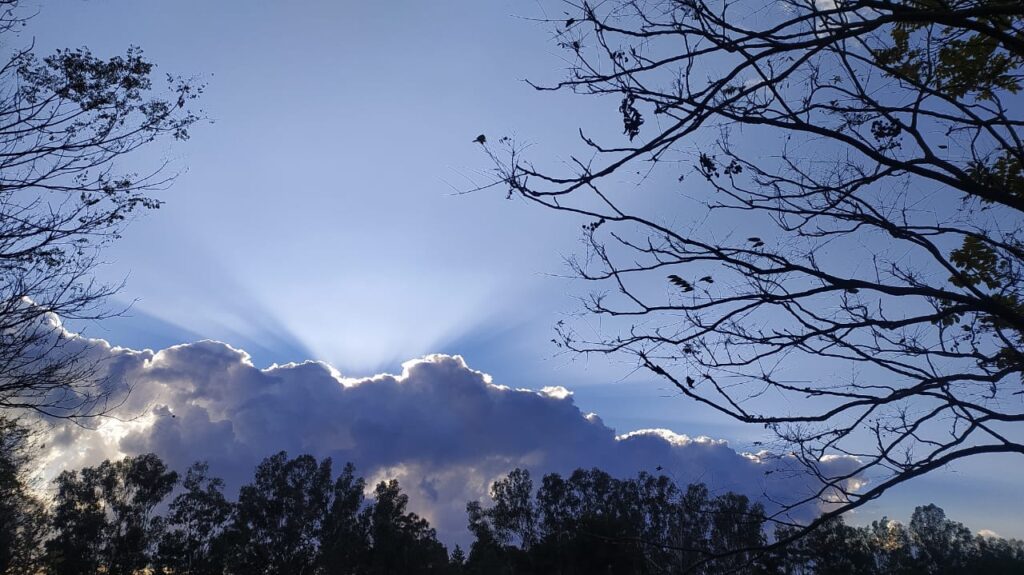 Two Lumps of Clay - Stories by Frieda McRae