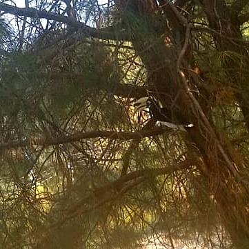 A Short Story - Stories by Frieda McRae