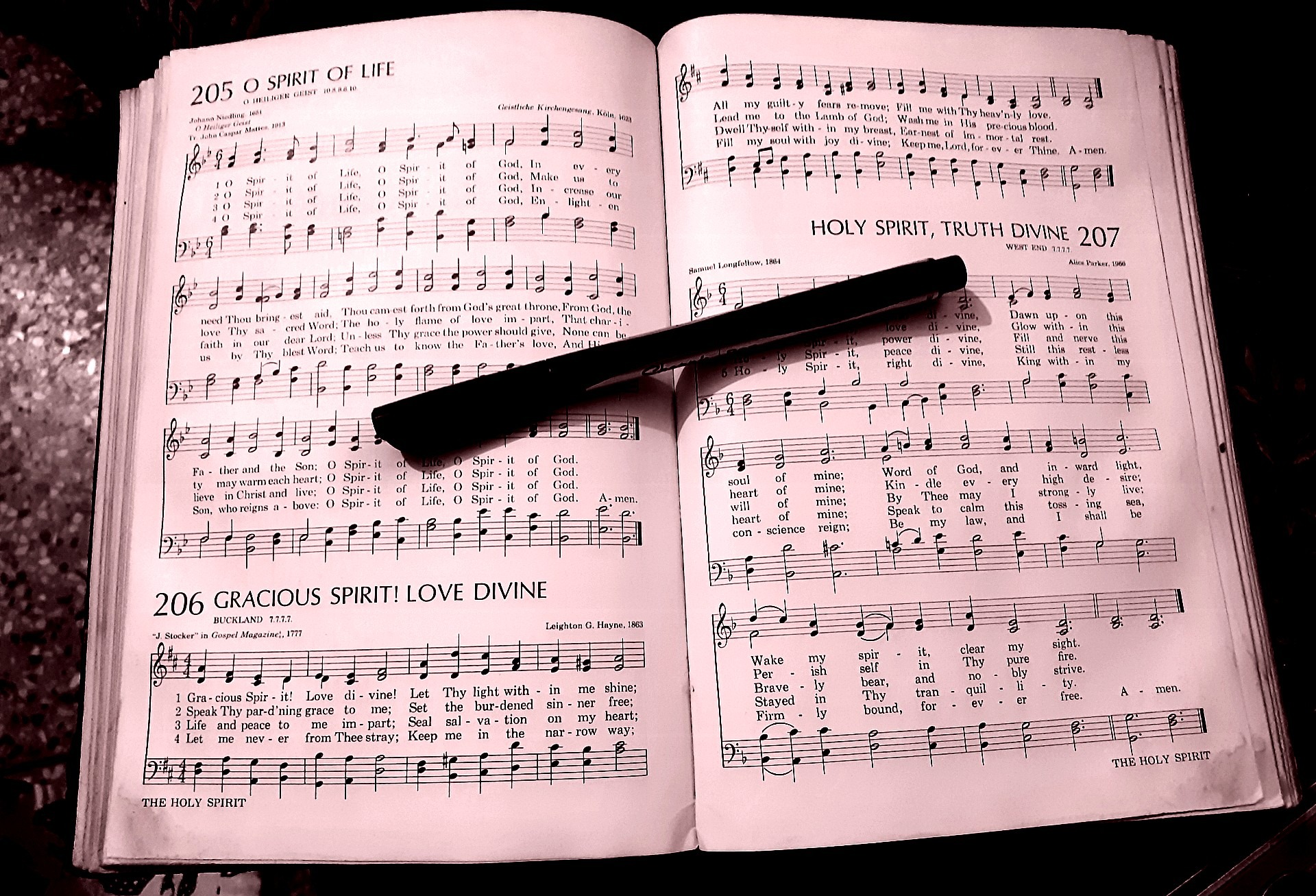 Sermon on 206 - Stories by Frieda McRae