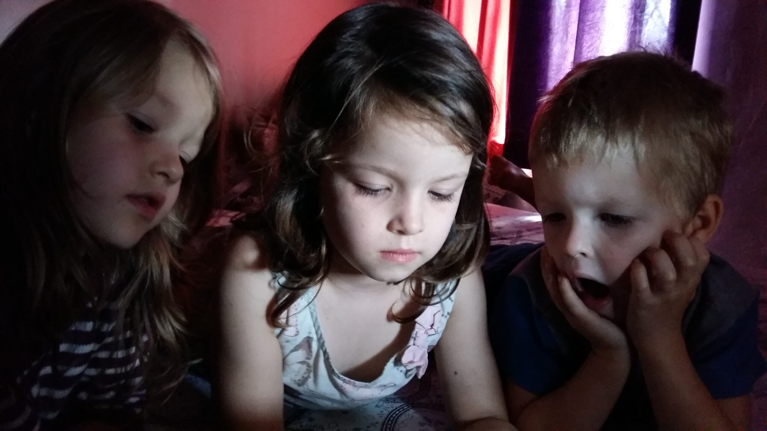 The Amazing Asha - Stories by Frieda McRae