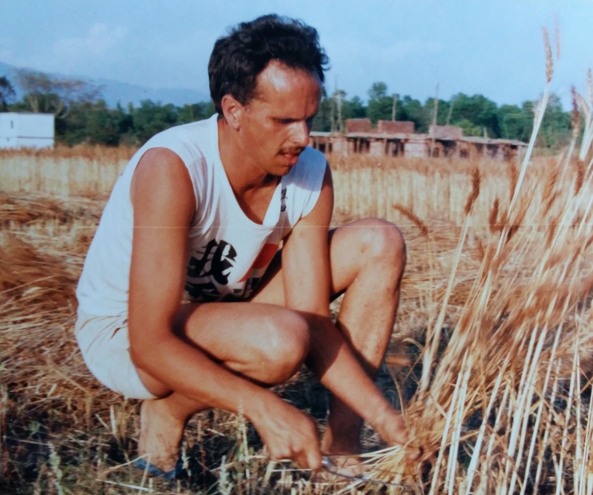 Like Seeds - Stories by Frieda McRae