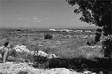 Searching for Dad - Stories by Frieda McRae