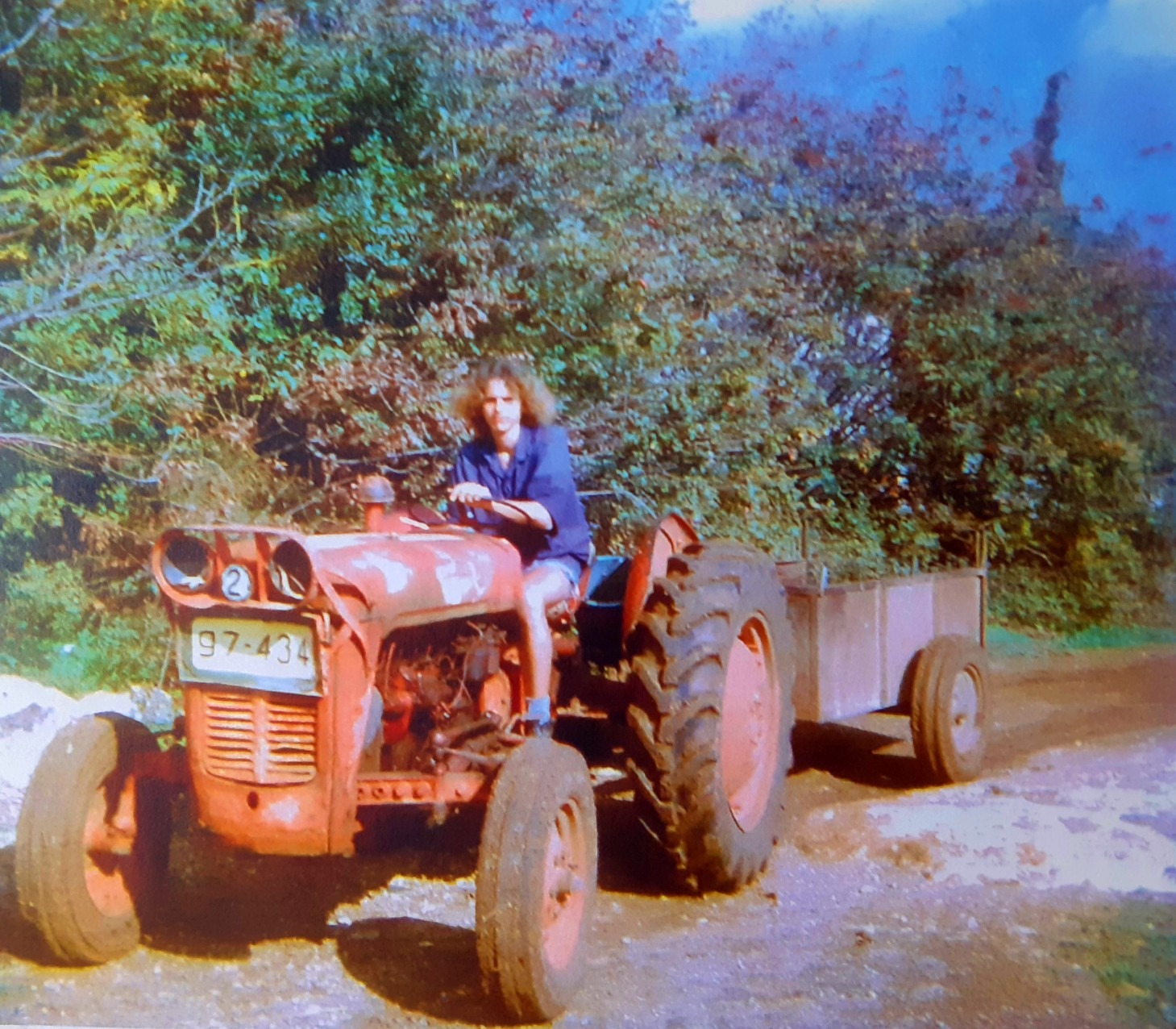 Searching for Dad - Stories by Frieda McRae