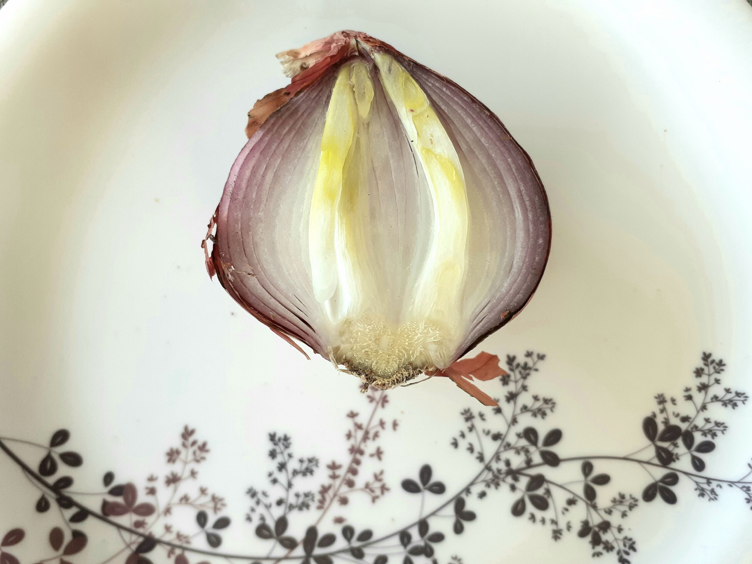 Officially Vulnerable - Stories by Frieda McRae