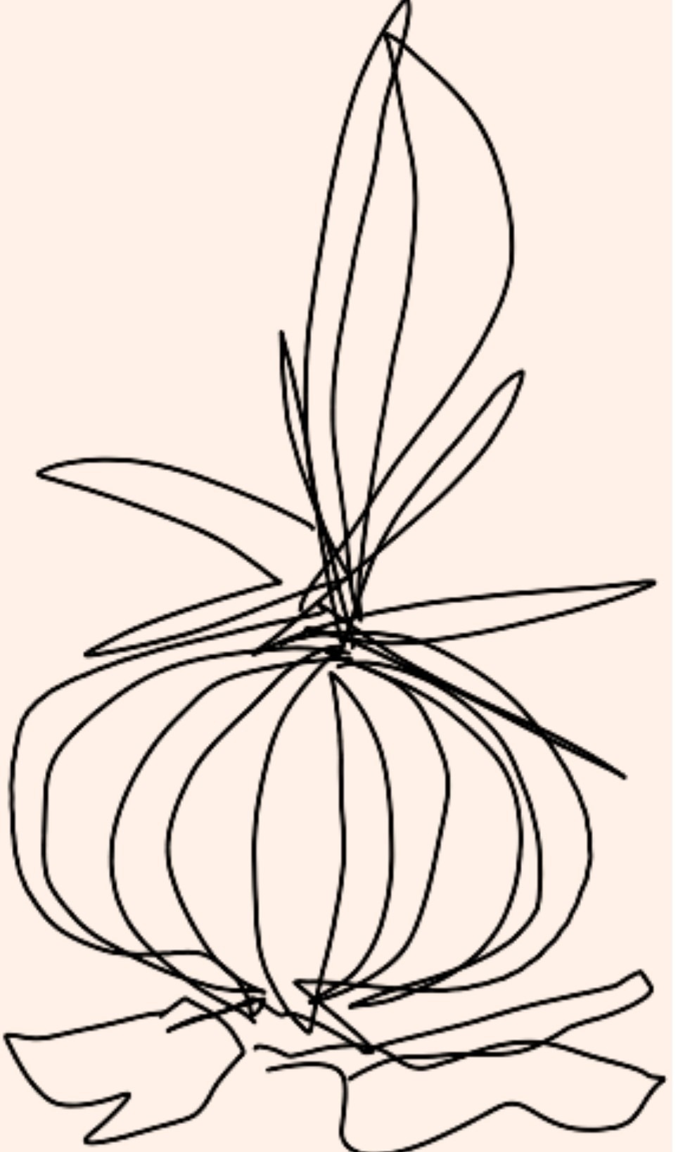 Officially Vulnerable - Stories by Frieda McRae