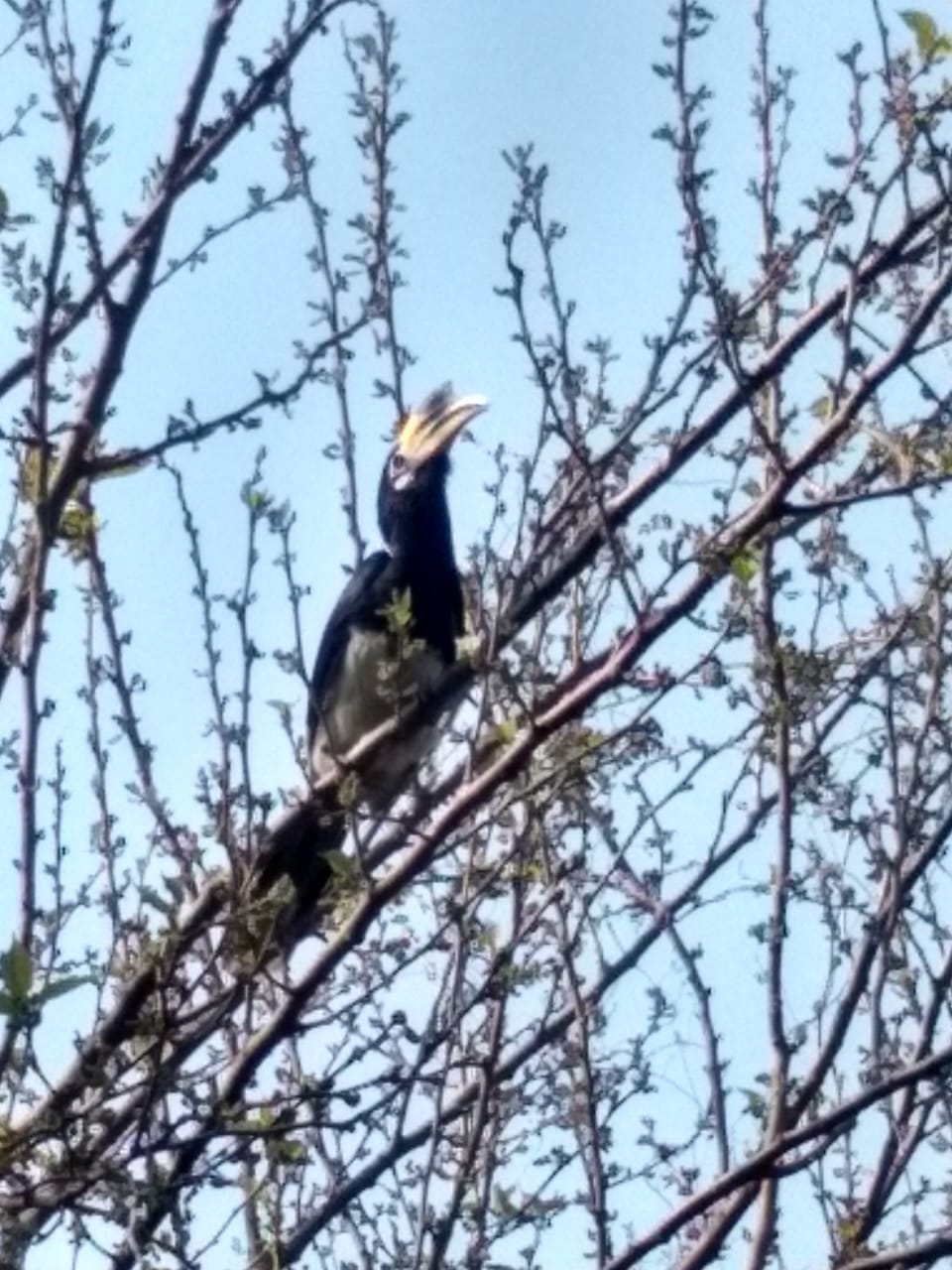 Answers to Some Questions - Stories by Frieda McRae