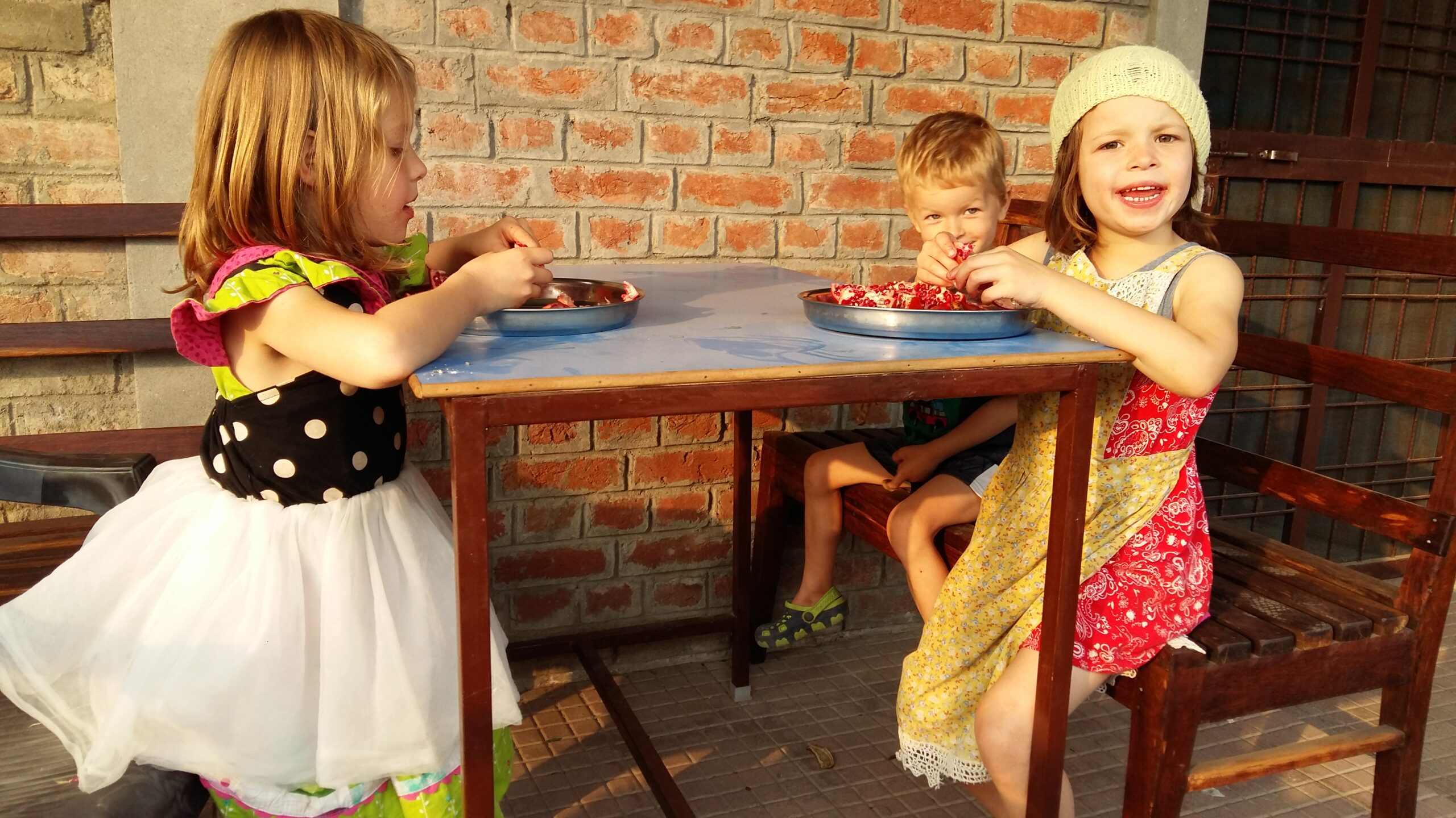 The Amazing Asha - Stories by Frieda McRae