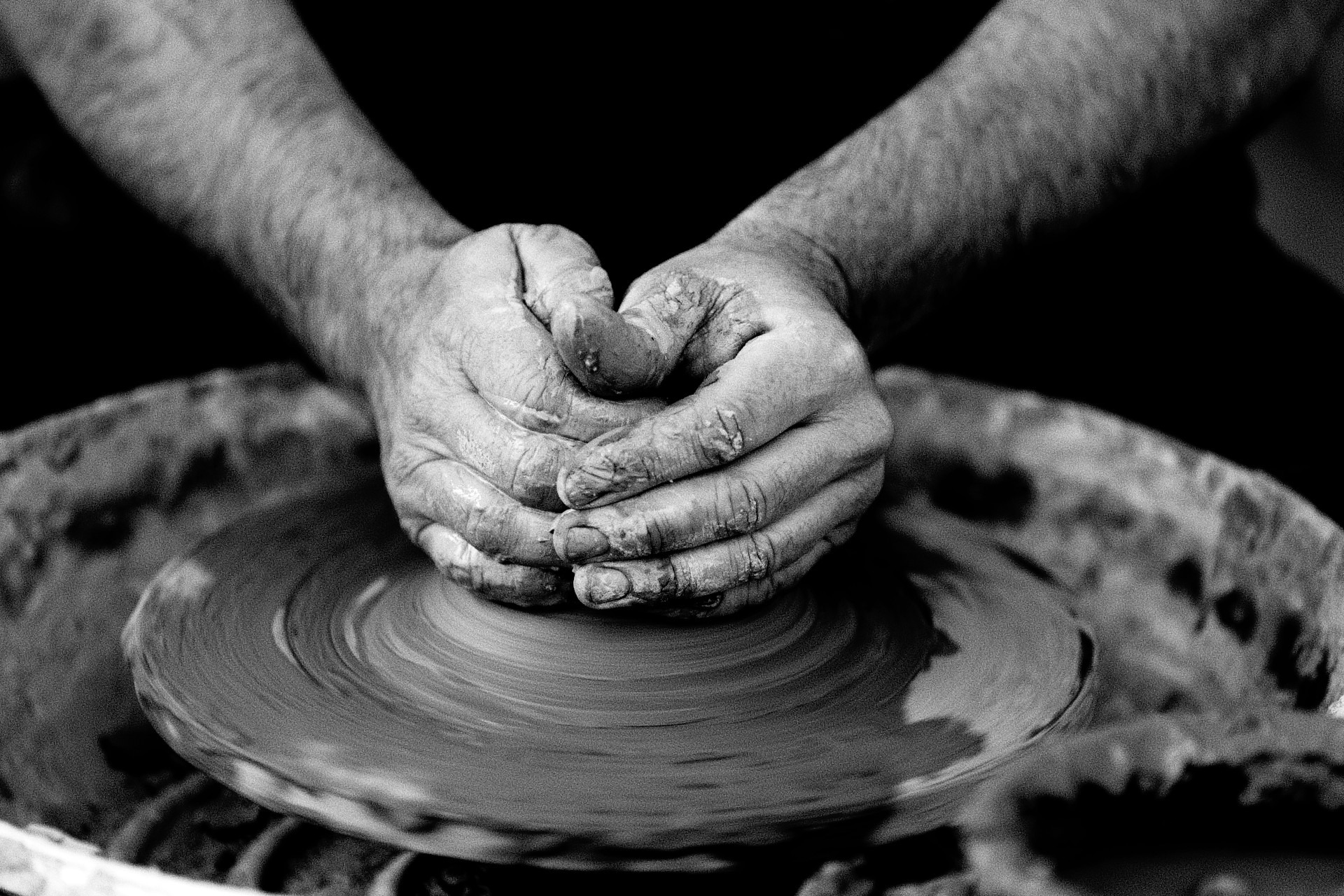 The Wisdom of Job - Stories by Frieda McRae