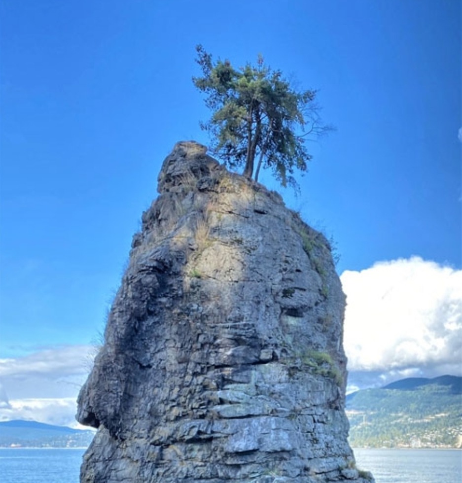 Kamla's Cup - Stories by Frieda McRae