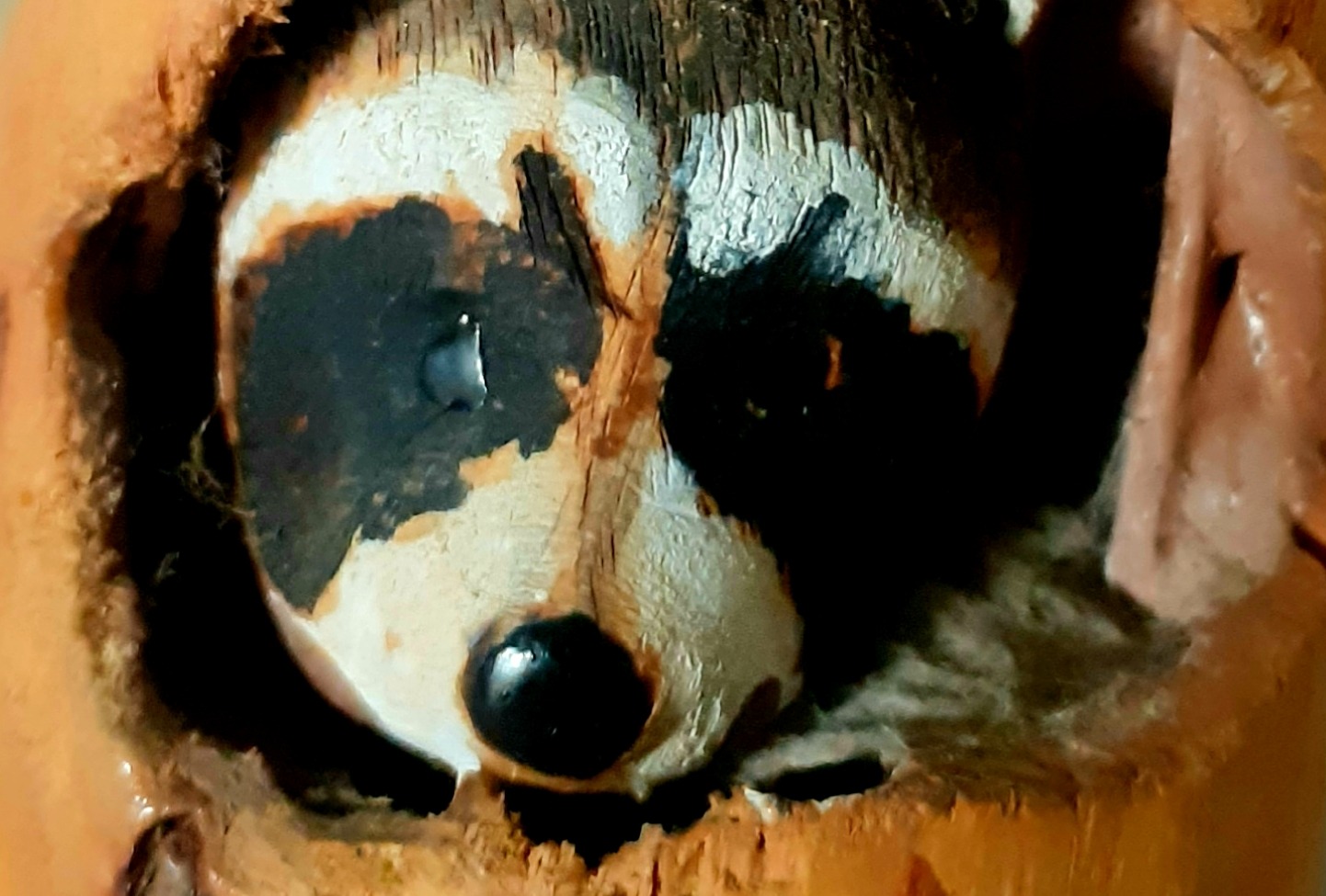 A Forest Visit - Stories by Frieda McRae