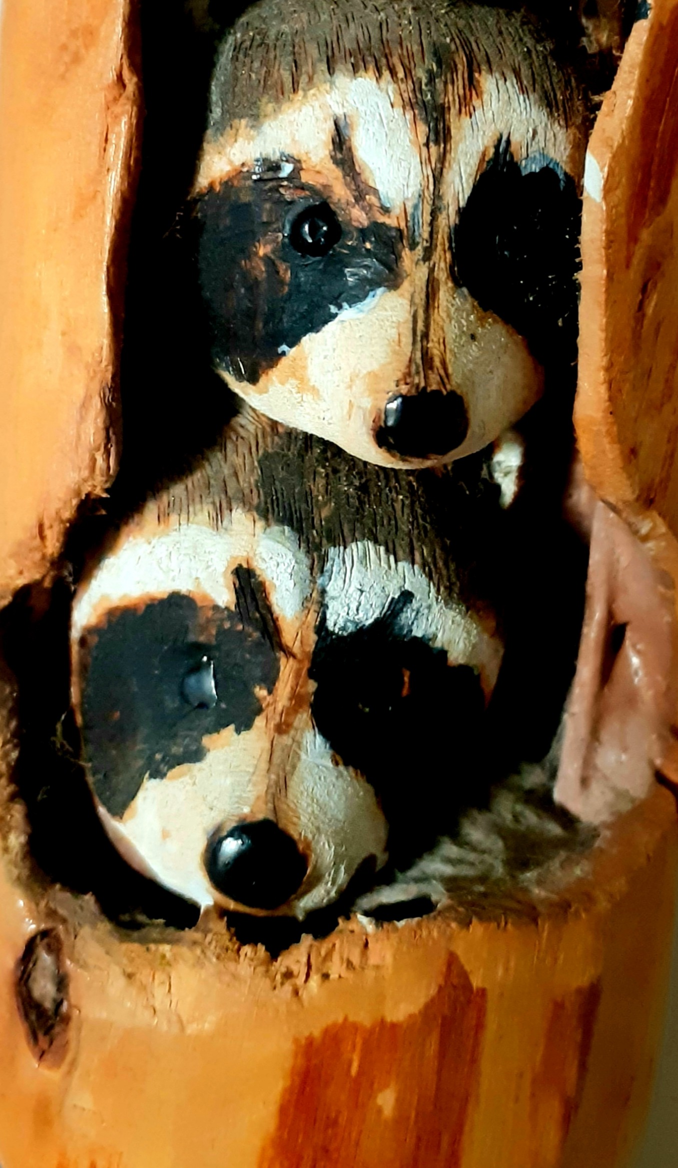 A Forest Visit - Stories by Frieda McRae