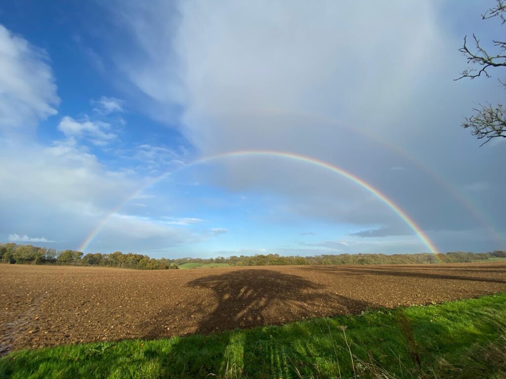 A Short Story - Stories by Frieda McRae