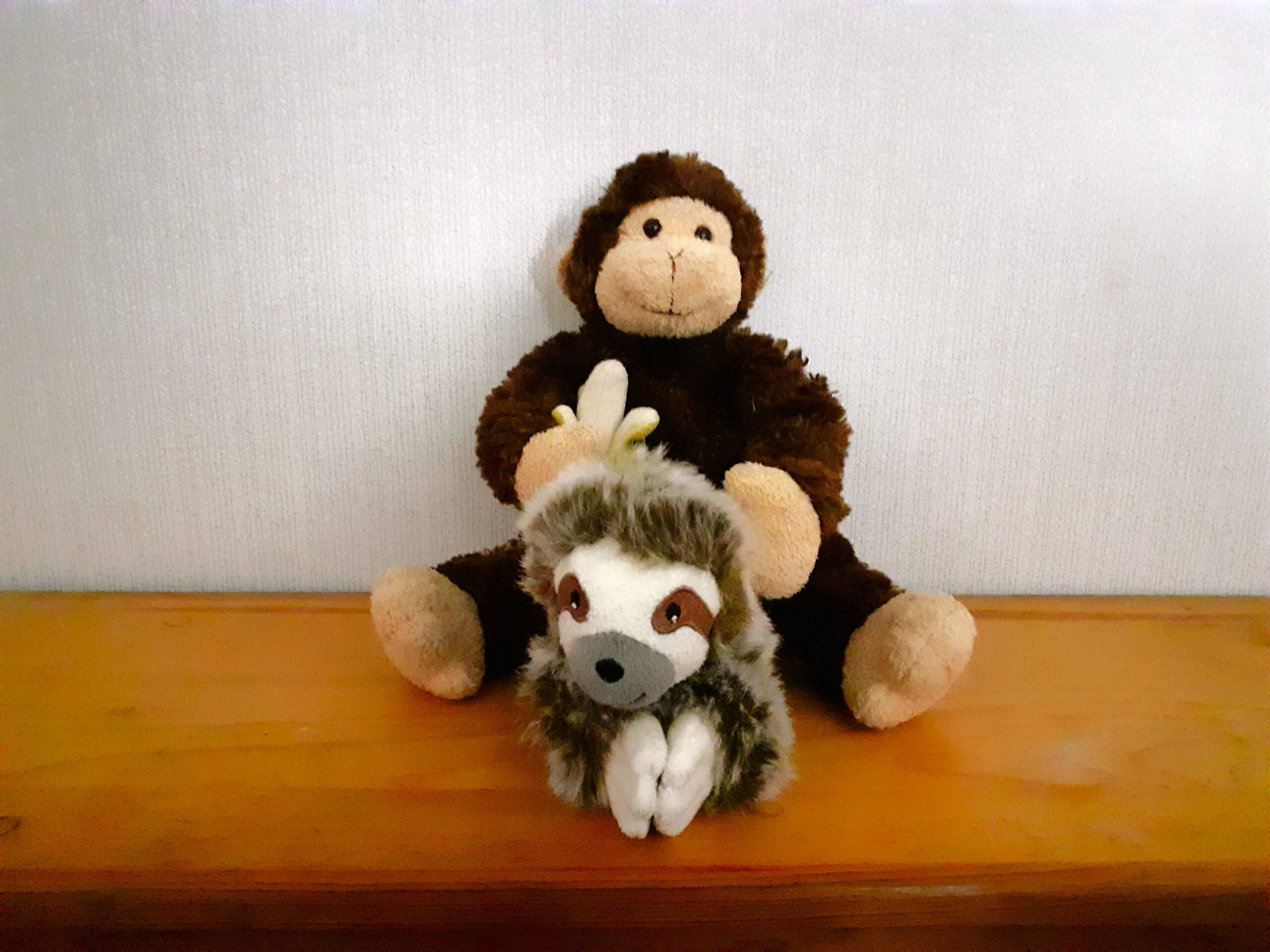 The Accidental Poem - Stories by Frieda McRae