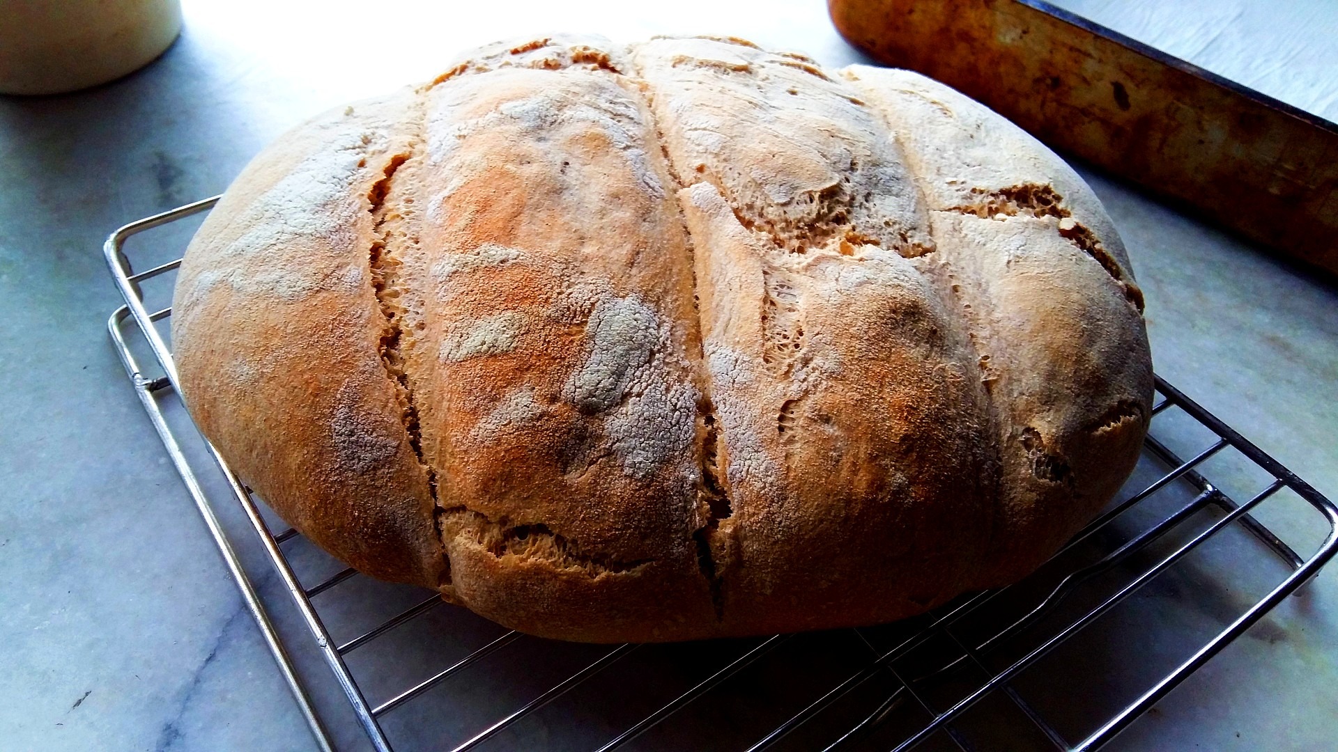 A Toast to Him - Stories by Frieda McRae