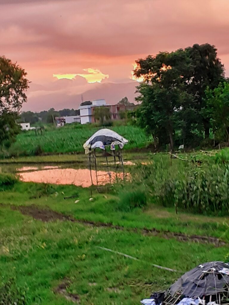 The Magnificent Ship - Stories by Frieda McRae