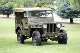 Willy Dies - Stories by Frieda McRae