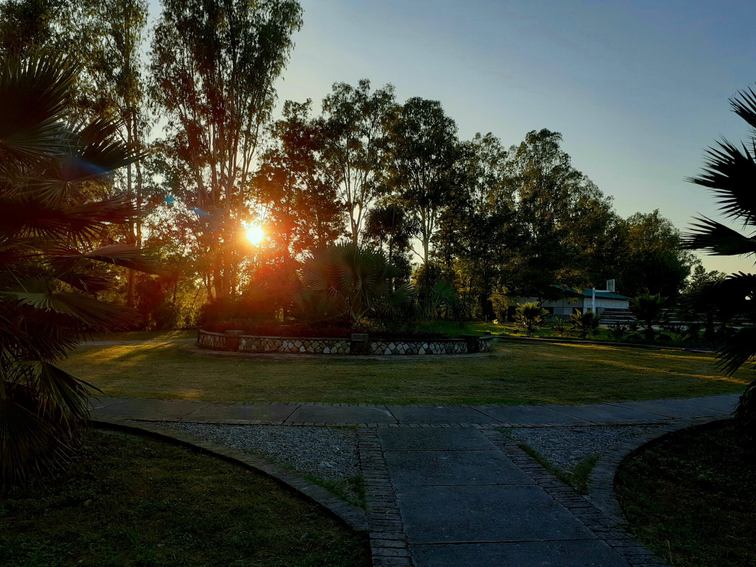 God's Question - Stories by Frieda McRae