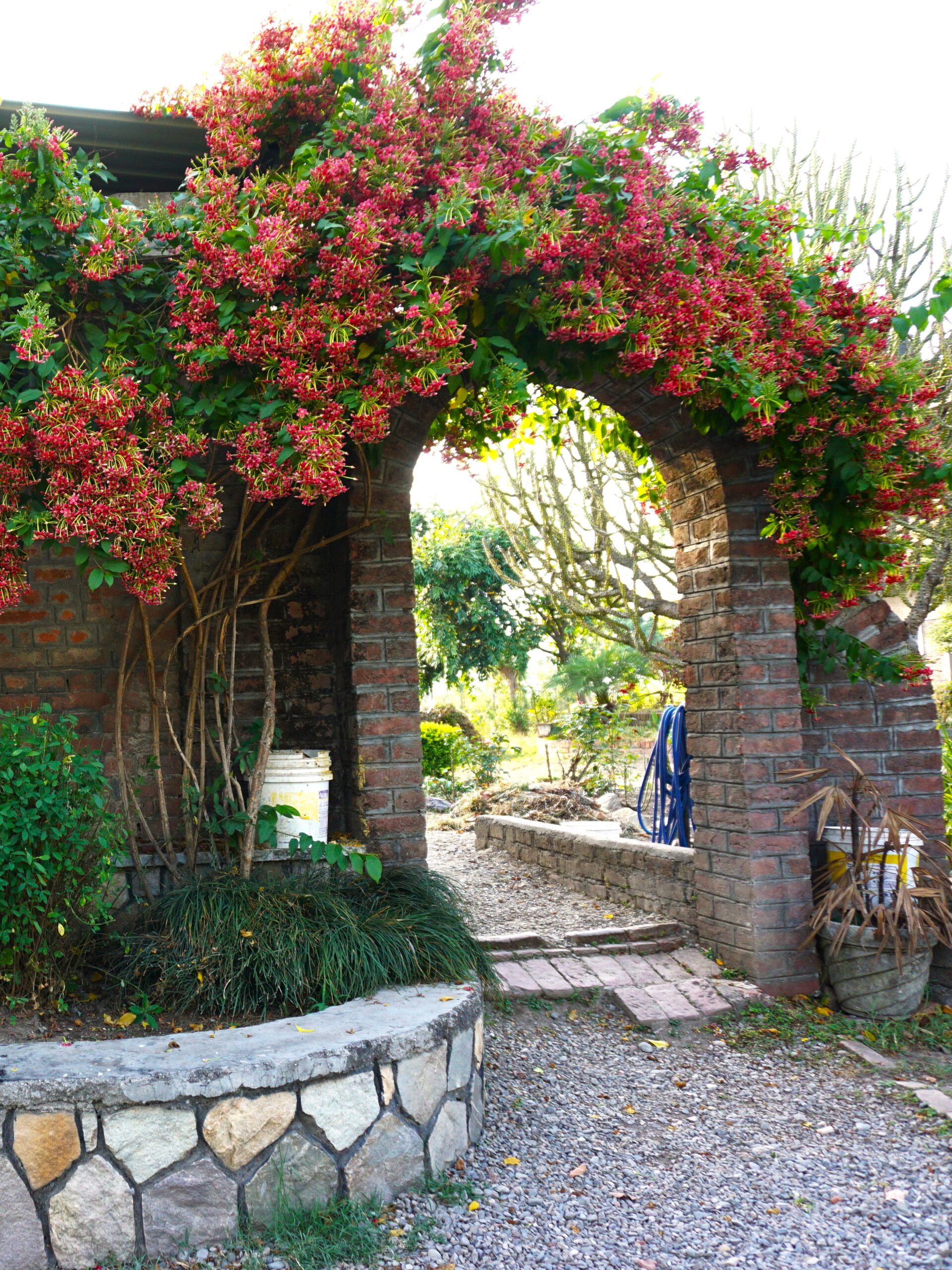 Sushil Remembers - Stories by Frieda McRae