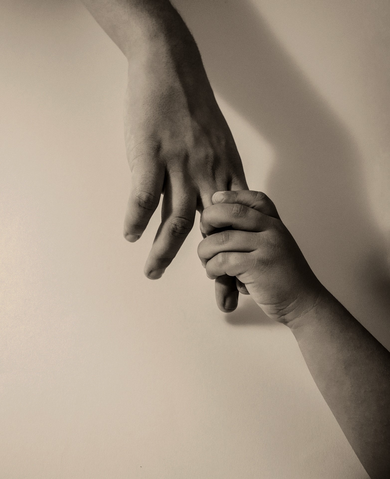 The Wisdom of Job - Stories by Frieda McRae