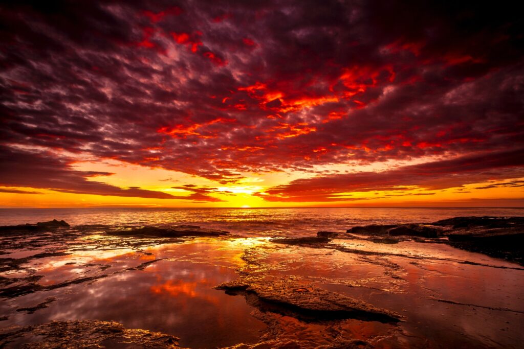 The Wisdom of Job - Stories by Frieda McRae