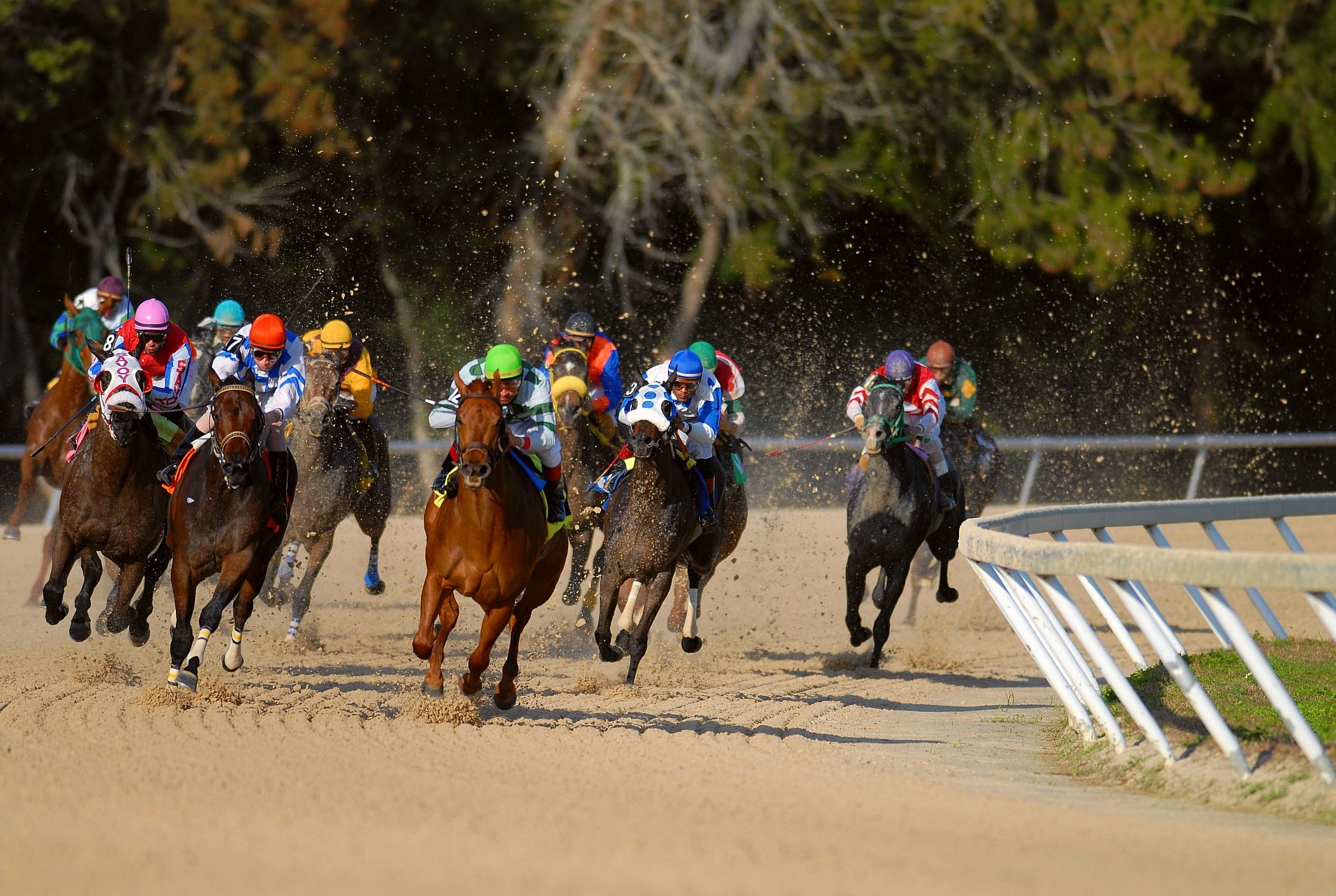 Four Stories; Four Wins - Stories by Frieda McRae