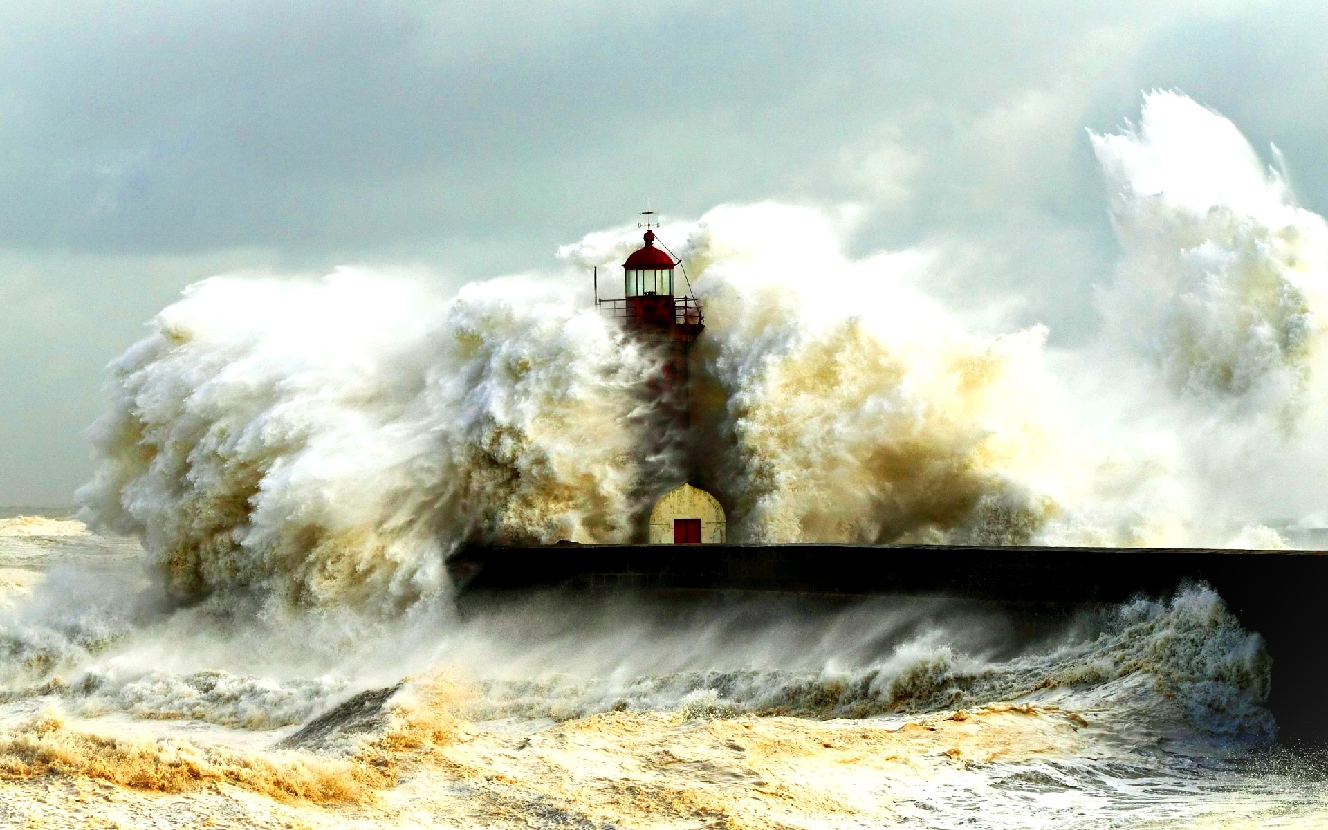 The Wisdom of Job - Stories by Frieda McRae